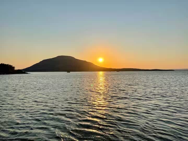 Image “1756908266-477bff04-b158-43-84A_t.jpg” 2025-09-03 14:04:26